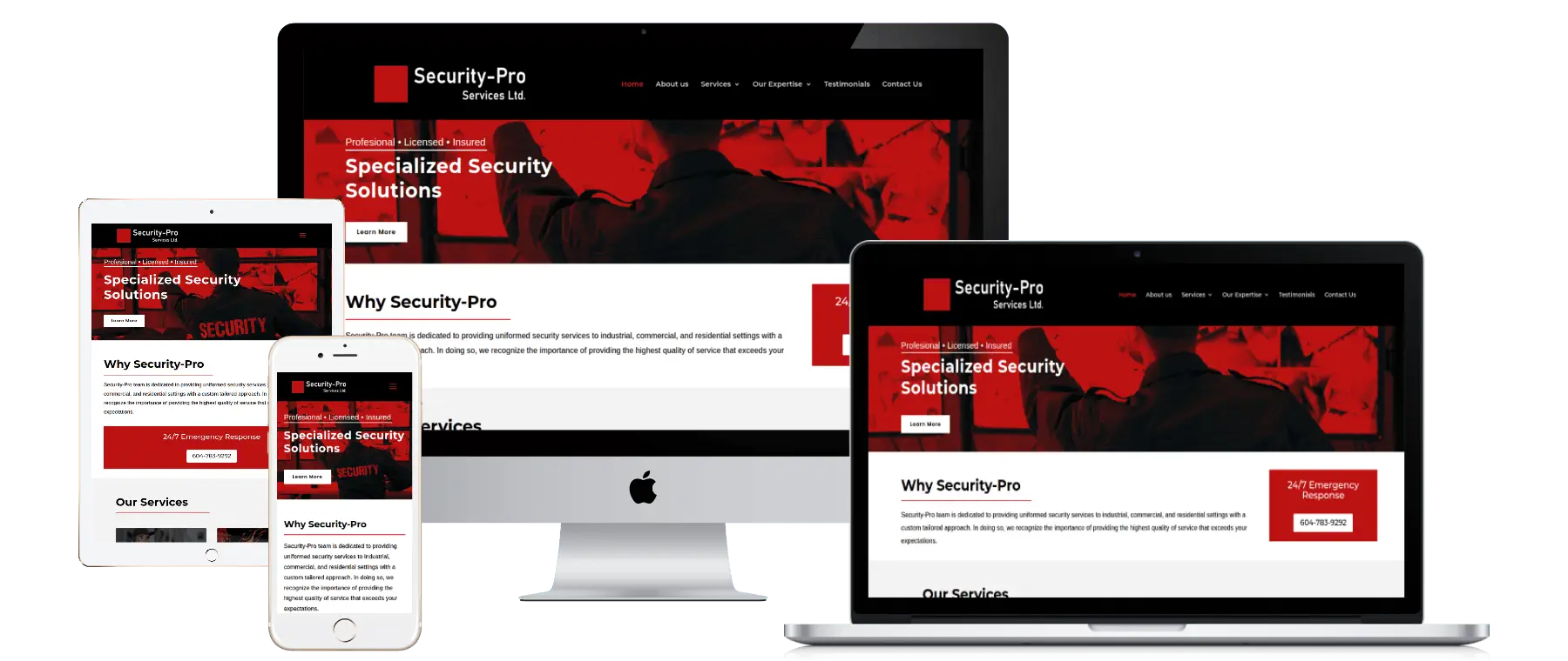 security-pro (2)